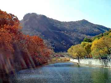 新澳天天开奖资料大全旅游团，无爱同居女人真麻烦